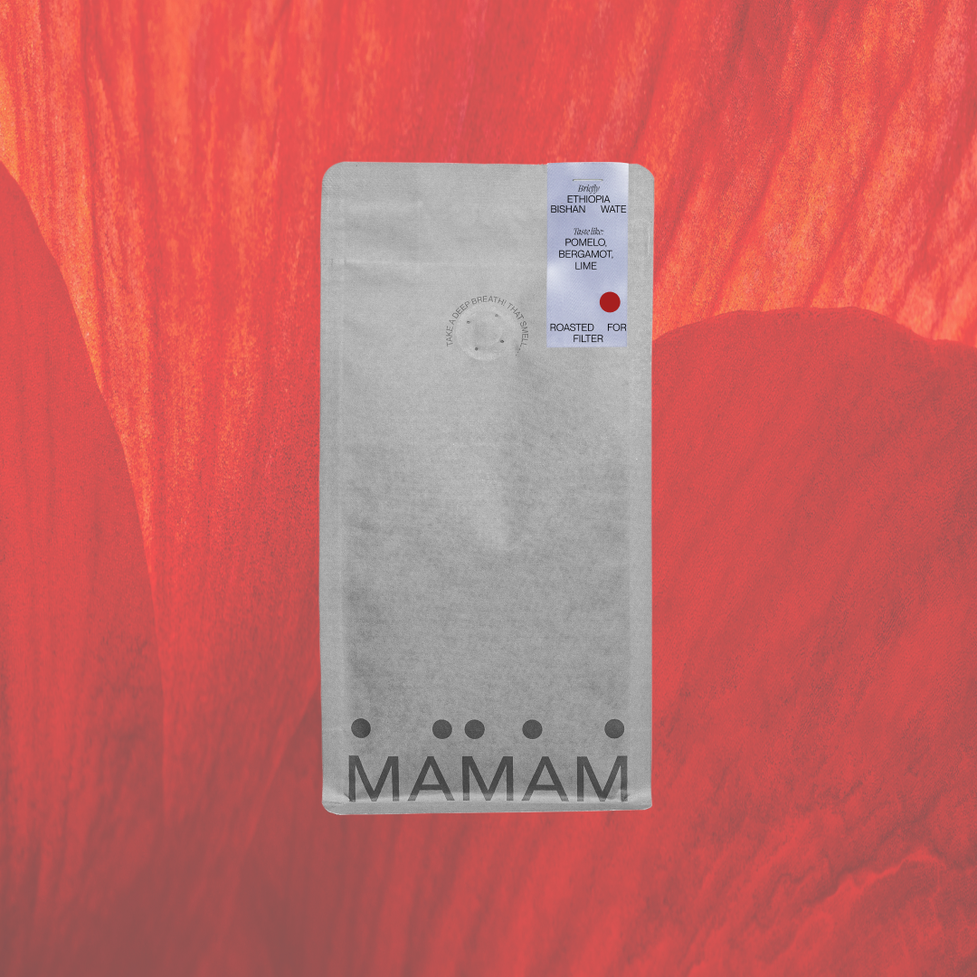 ETHIOPIA BISHAN WATE - FILTER