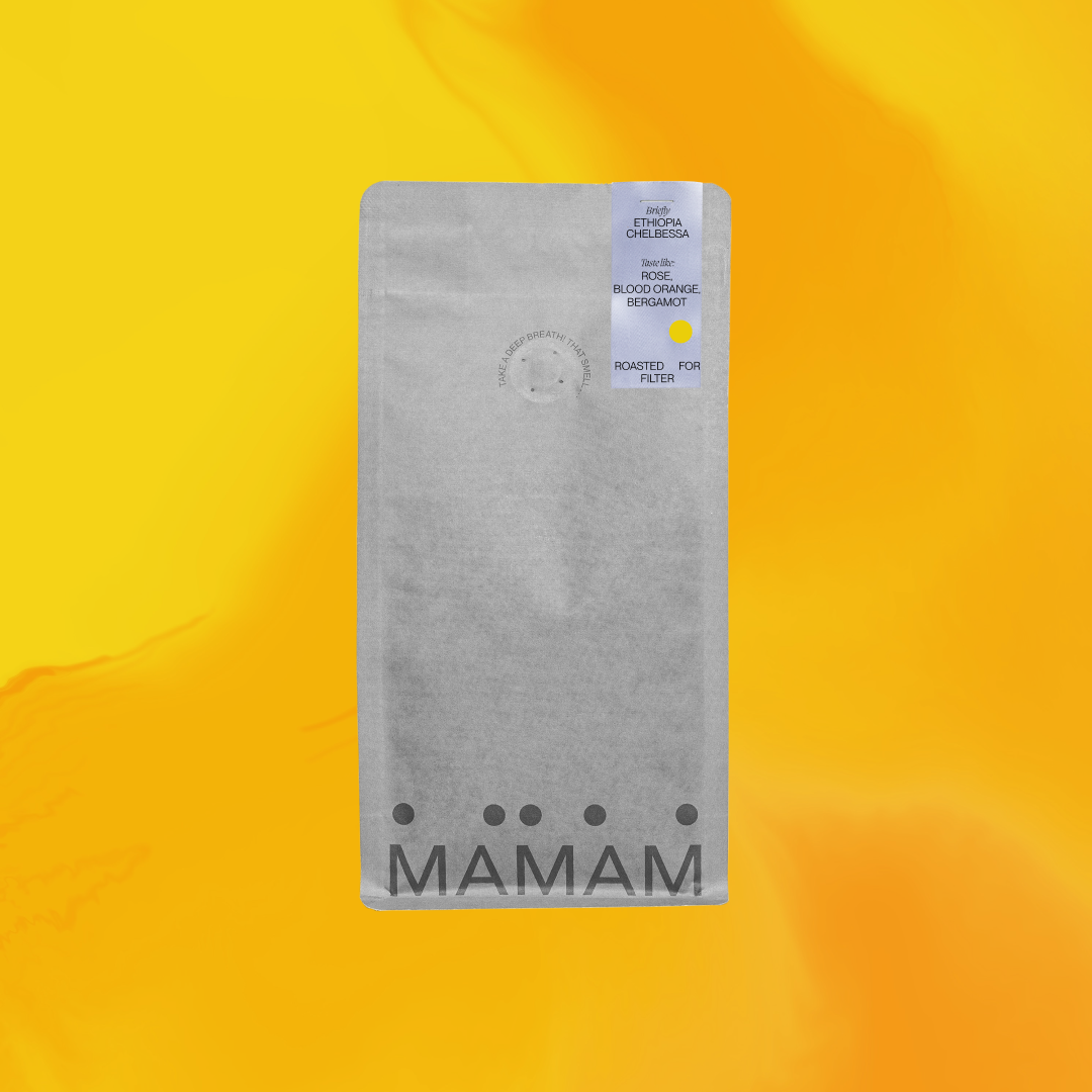 ETHIOPIA CHELBESSA - FILTER