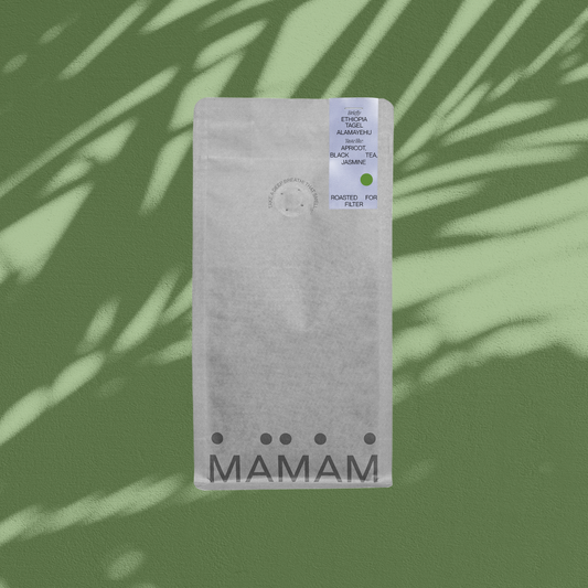 ETHIOPIA TAGEL ALAMAYEHU - FILTER