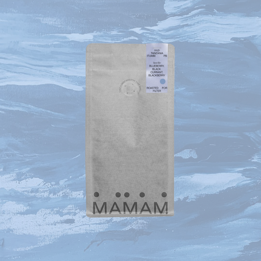 TANZANIA ITUMBI PB - FILTER