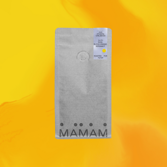 ETHIOPIA CHELBESSA - FILTER