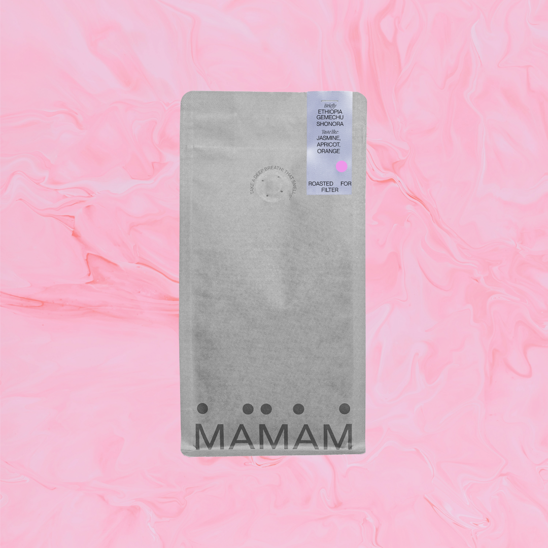 ETHIOPIA GEMECHU SHONORA - FILTER
