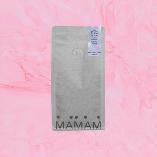 ETHIOPIA GEMECHU SHONORA - FILTER