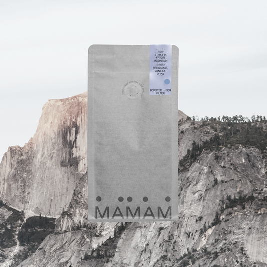 ETHIOPIA KAYON MOUNTAIN - FILTER