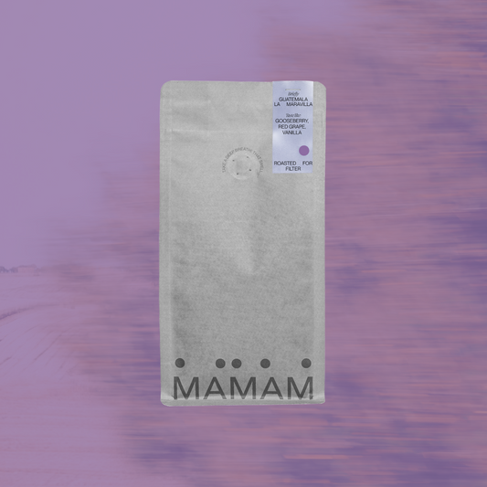 GUATEMALA LA MARAVILLA - FILTER