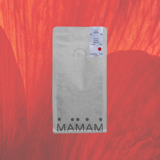 KENYA KII PB - FILTER